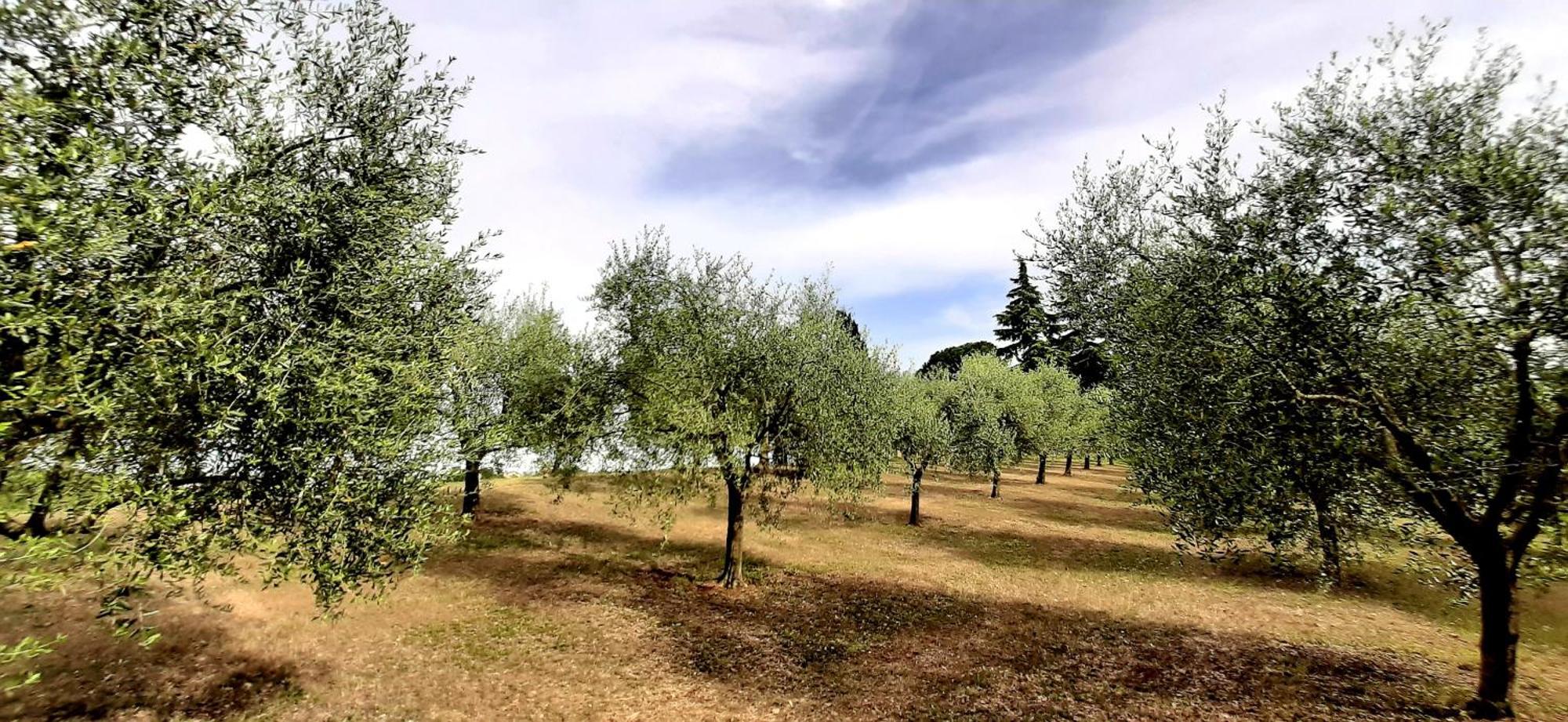 Room&Breakfast La Gramadora Castel San Pietro Terme Εξωτερικό φωτογραφία